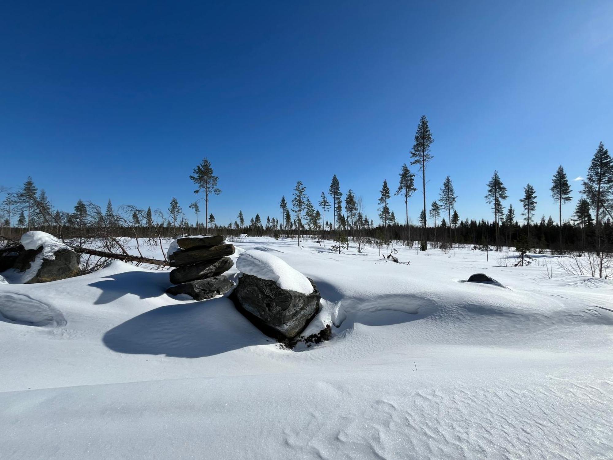 Log Cottages In 10 Min From Santa Claus Village-Sauna&Freeparking Рованиеми Экстерьер фото