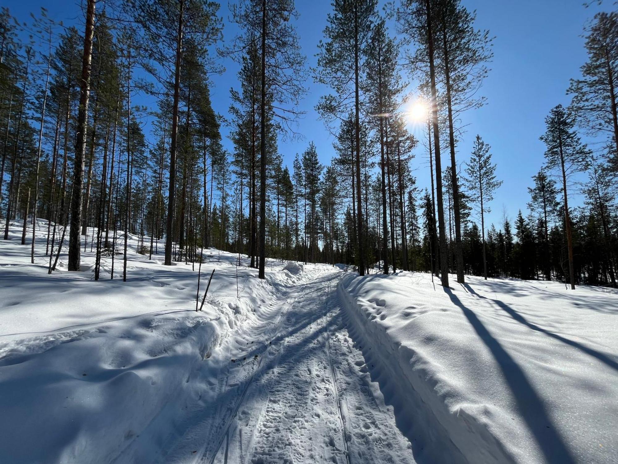 Log Cottages In 10 Min From Santa Claus Village-Sauna&Freeparking Рованиеми Экстерьер фото